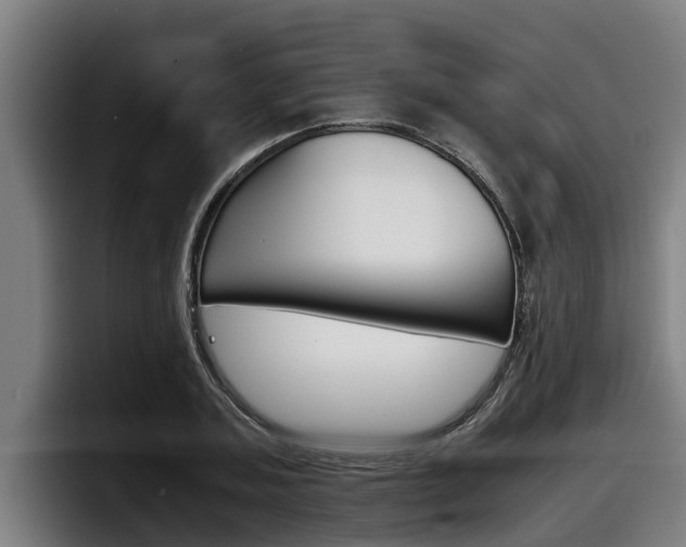 X0000098140787200804171119