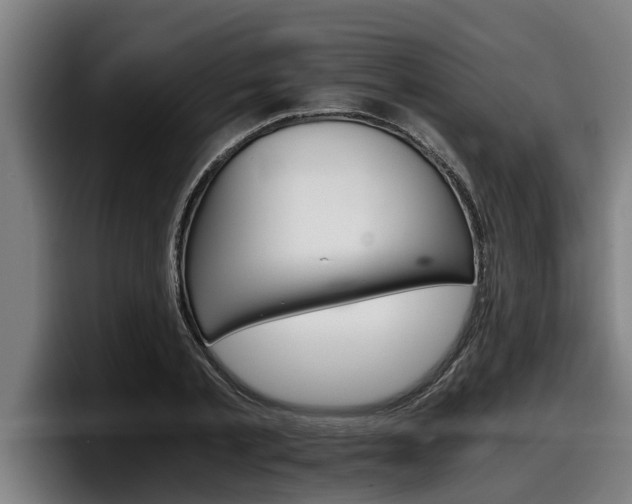 X0000098140789200804171119