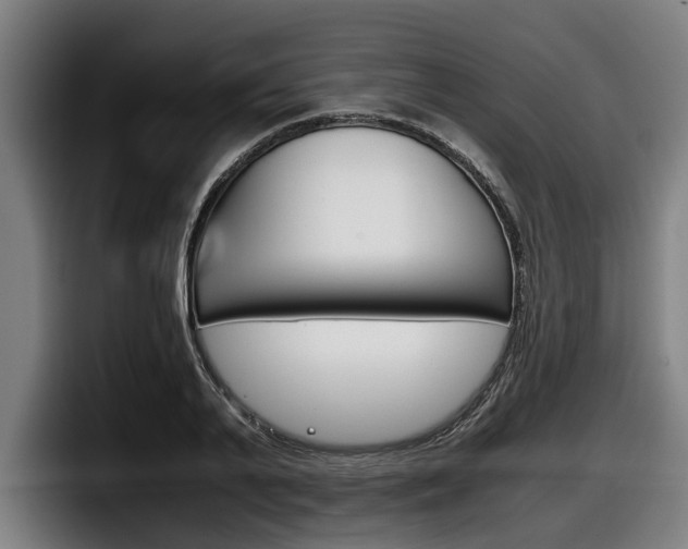 X0000098140791200804171119