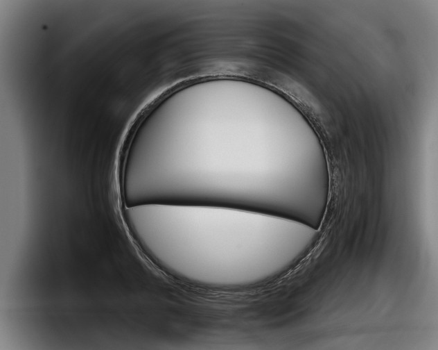 X0000098140792200804171119