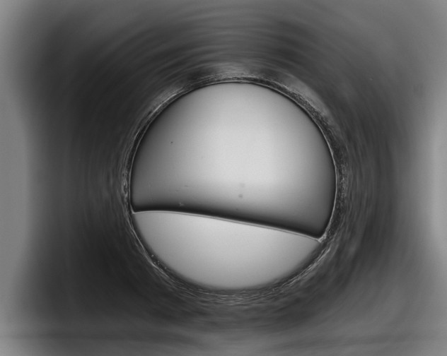 X0000098140793200804171119