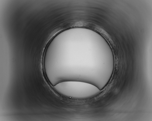 X0000098140794200804171119