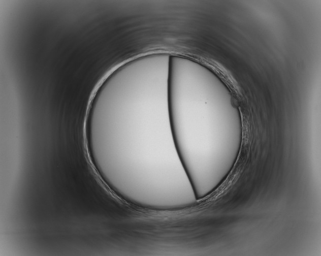 X0000098140796200804171119