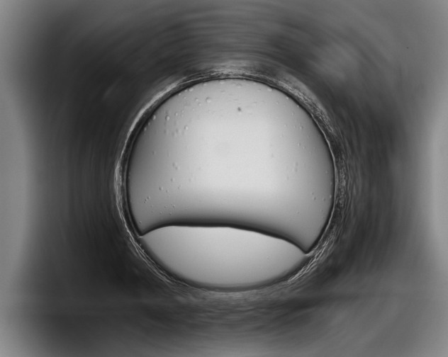 X0000098140798200804171119