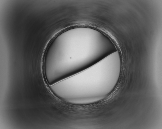 X0000098140799200804171119
