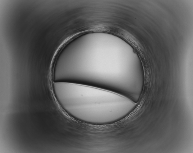 X0000098140800200804171119