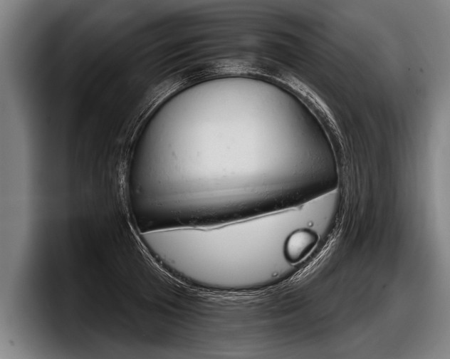 X0000098140801200804171119