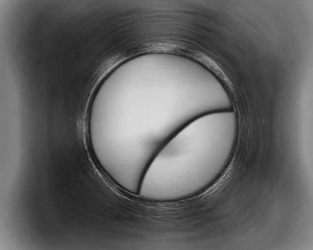 X0000098140802200804171119