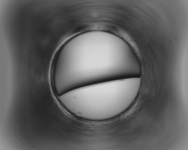 X0000098140803200804171119