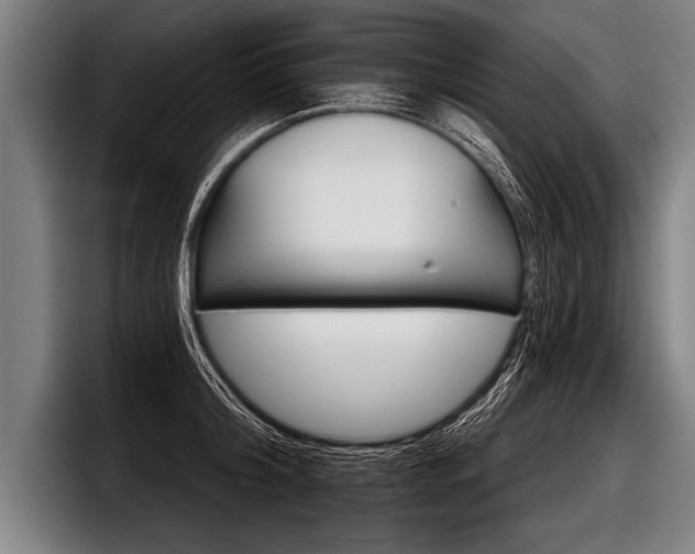 X0000098140804200804171119