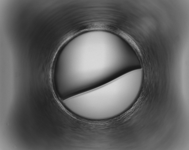 X0000098140805200804171119