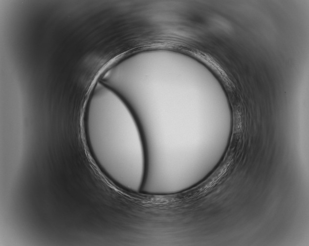 X0000098140806200804171119