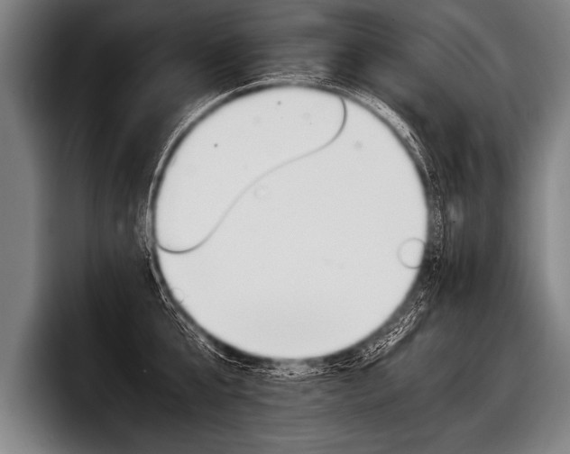 X0000098140807200804171119