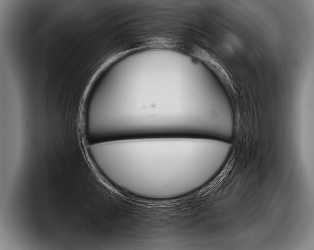 X0000098140808200804171119