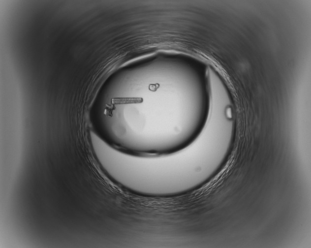 X0000098140809200804171119