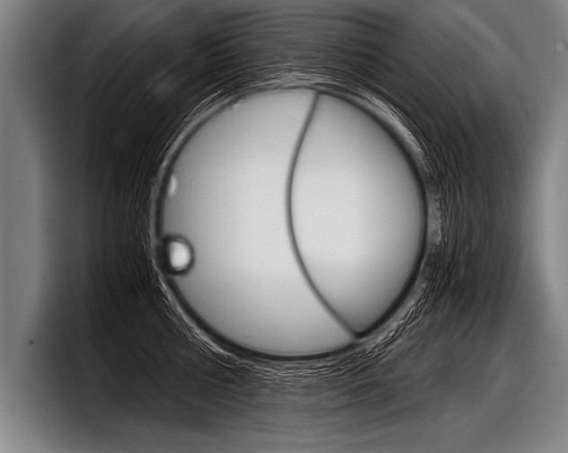 X0000098140810200804171119