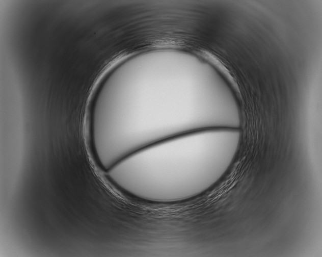 X0000098140811200804171119