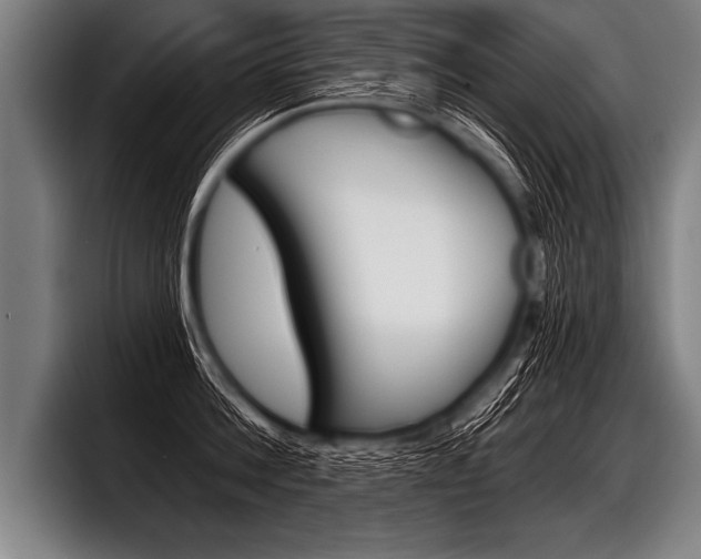 X0000098140812200804171119