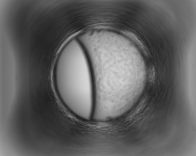 X0000098140814200804171119