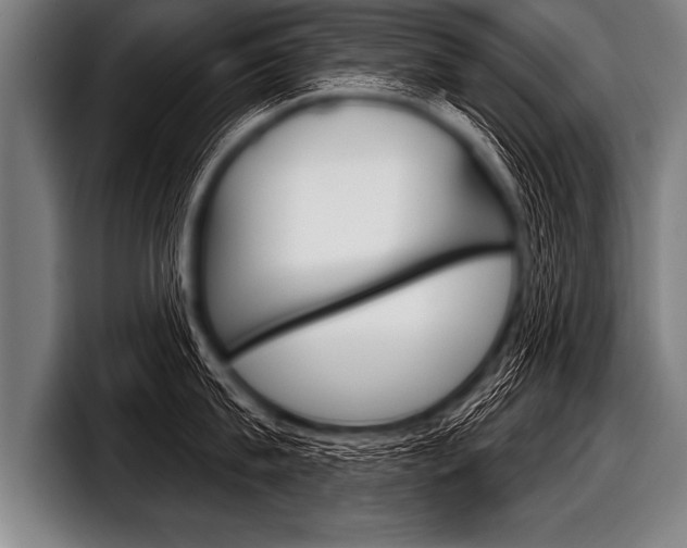 X0000098140815200804171119