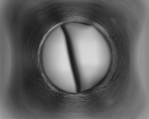 X0000098140816200804171119
