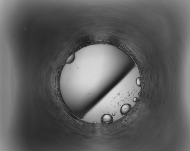 X0000098140817200804171118