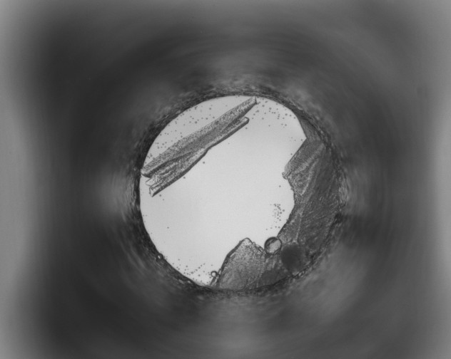 X0000098140820200804171118