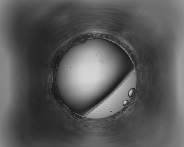 X0000098140821200804171118
