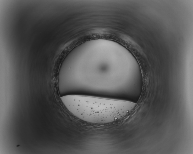 X0000098140822200804171118