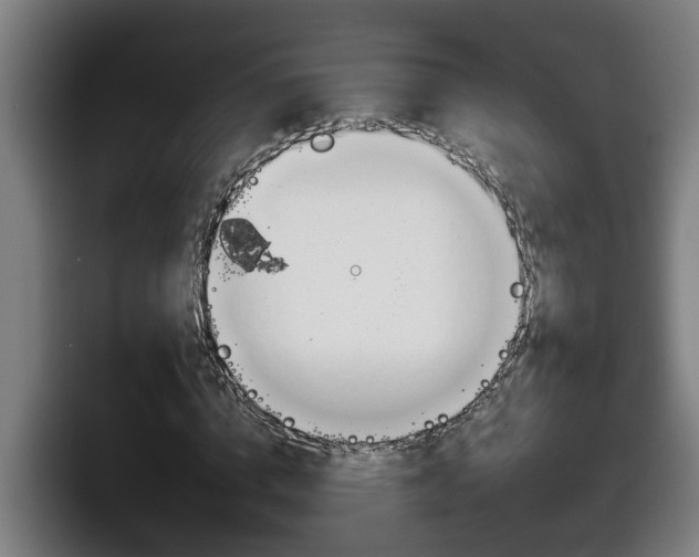 X0000098140824200804171118