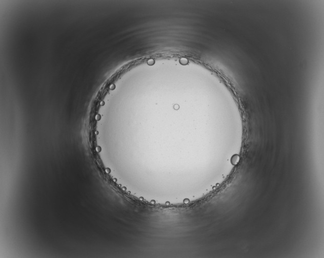 X0000098140828200804171118