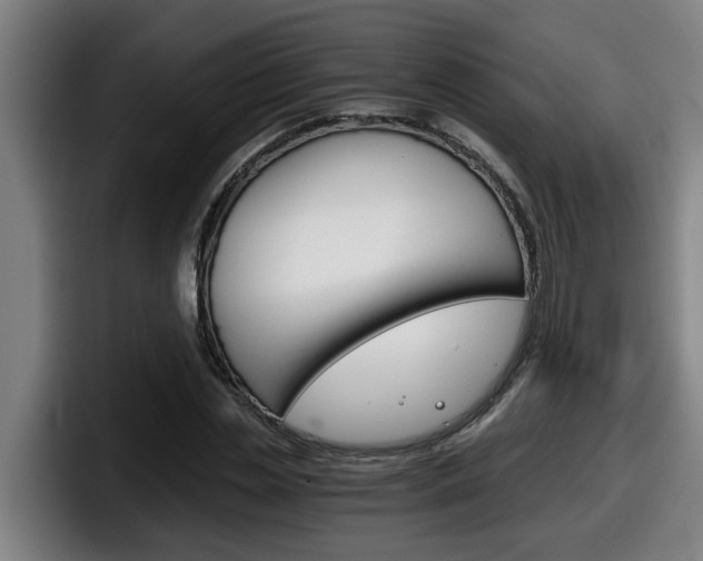 X0000098140829200804171118
