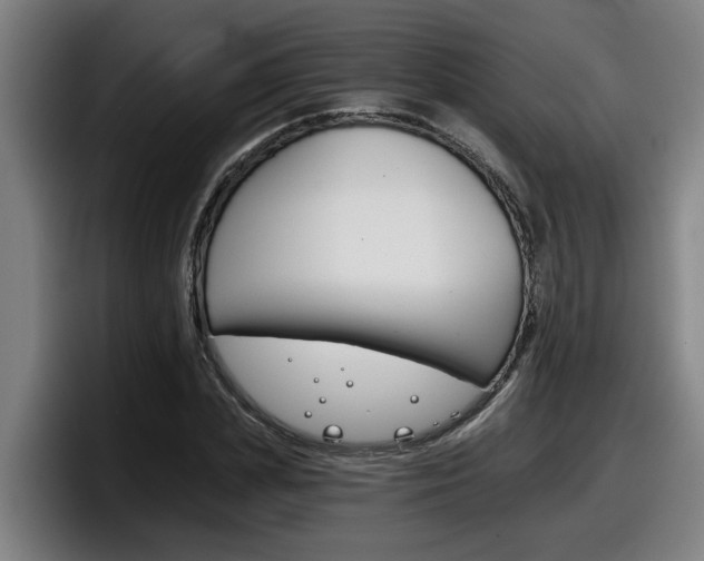 X0000098140831200804171118