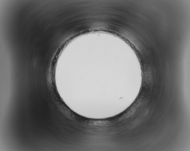 X0000098140832200804171118