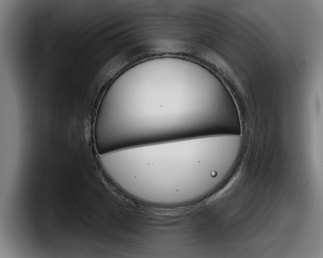 X0000098140833200804171118