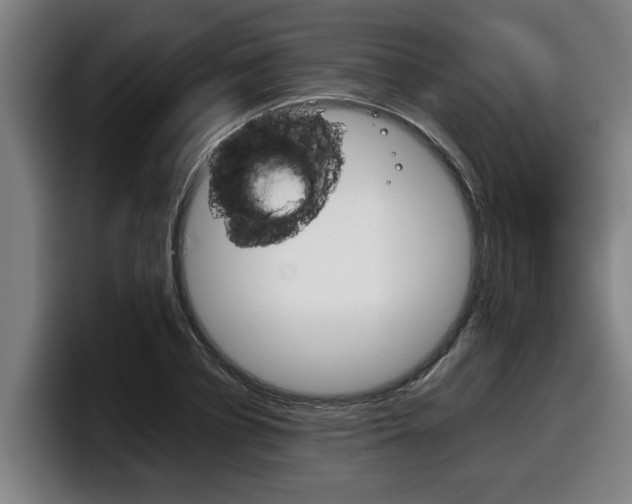 X0000098140834200804171118