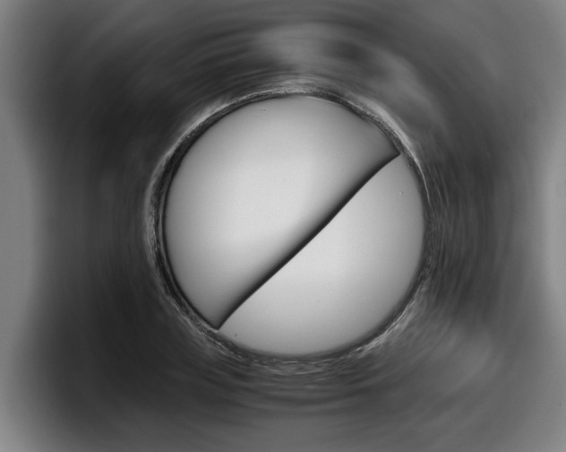 X0000098140835200804171118