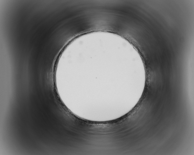 X0000098140836200804171118