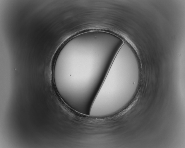 X0000098140837200804171118