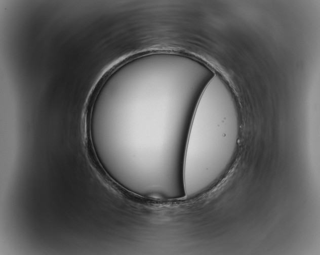X0000098140838200804171118