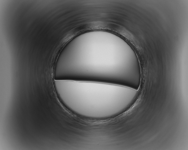X0000098140841200804171118