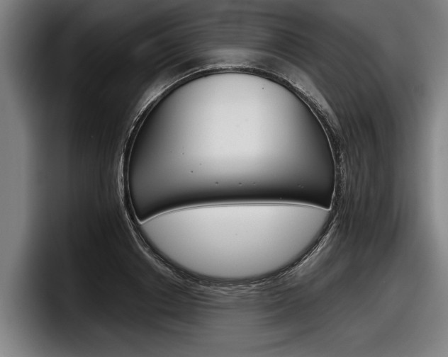 X0000098140842200804171118