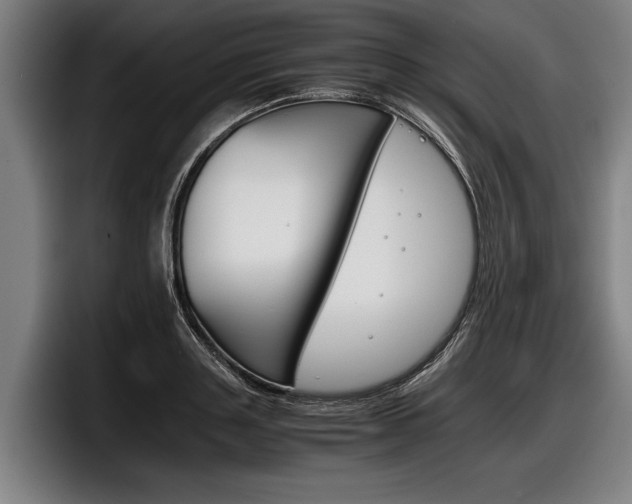 X0000098140843200804171118