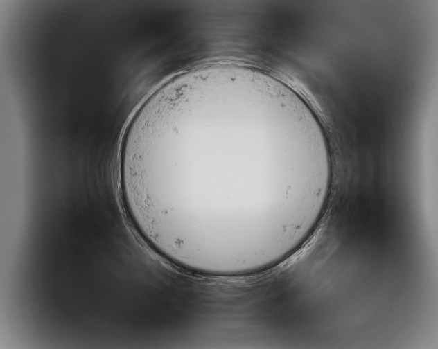 X0000098140844200804171118