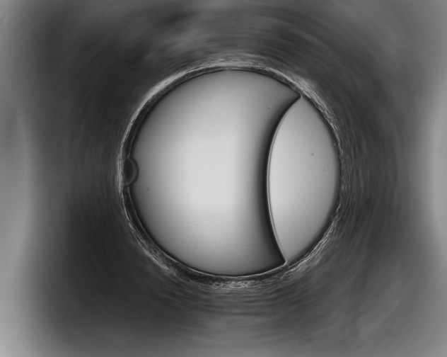 X0000098140846200804171118