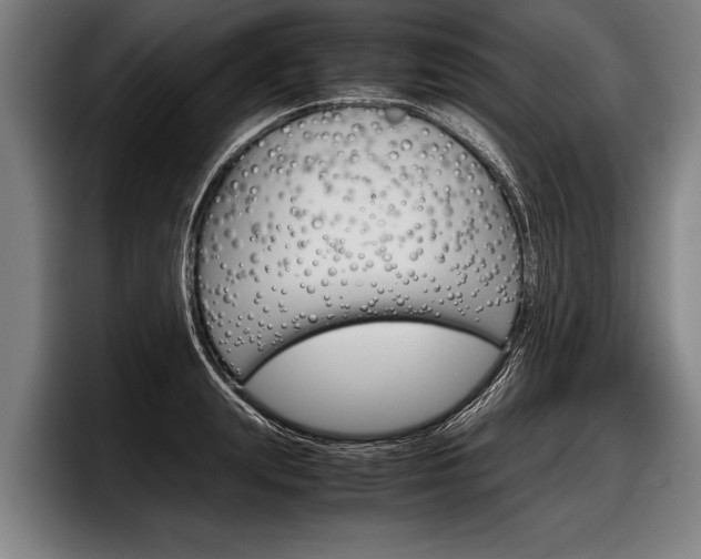 X0000098140847200804171118