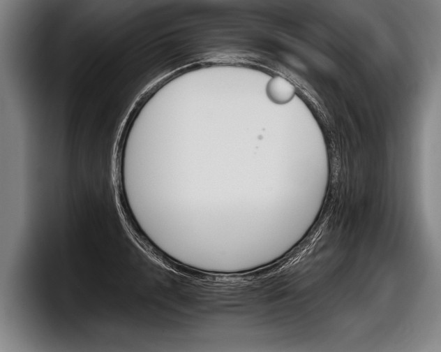 X0000098140848200804171118