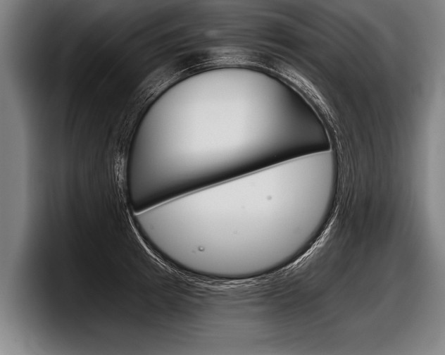 X0000098140849200804171118