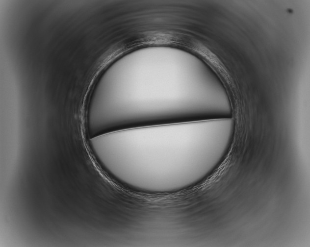 X0000098140850200804171118