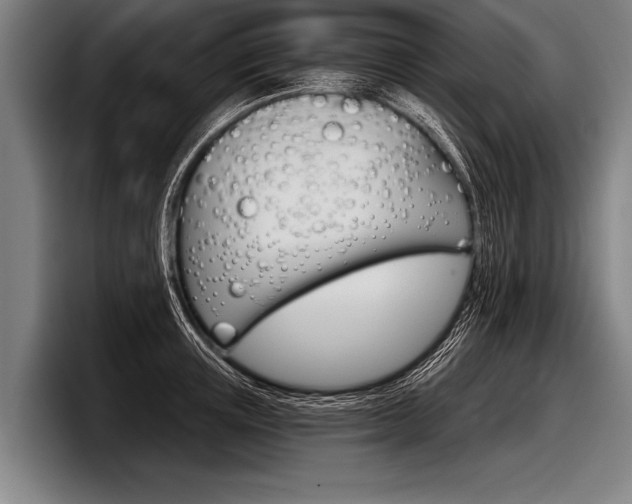 X0000098140851200804171118